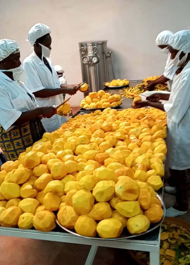 Mangues pelées en atelier